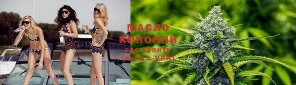 хмурый Вяземский