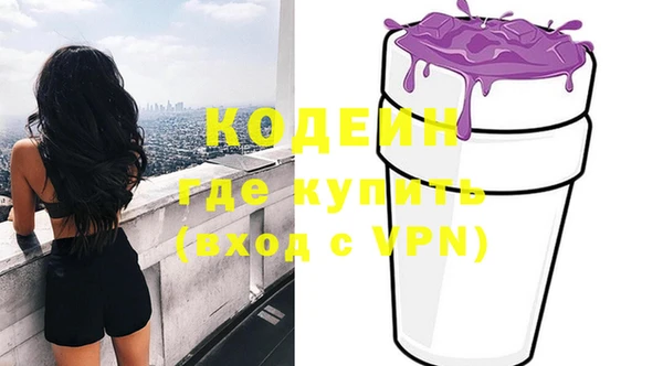 хмурый Вяземский