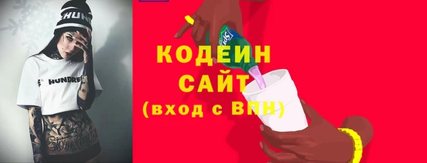 хмурый Вяземский