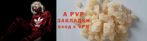 хмурый Вяземский