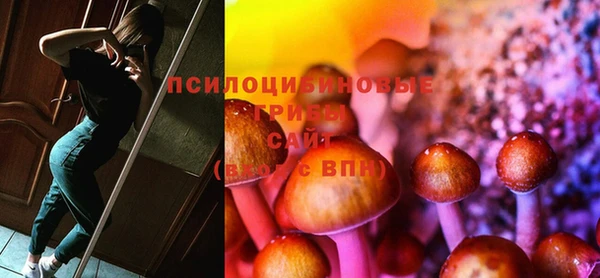PSILOCYBIN Волосово